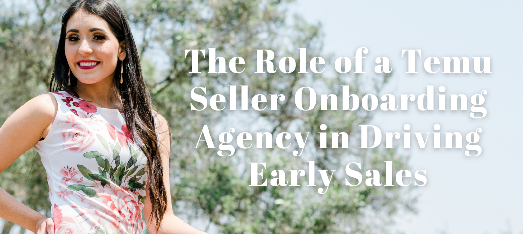 Temu Seller Onboarding Agency