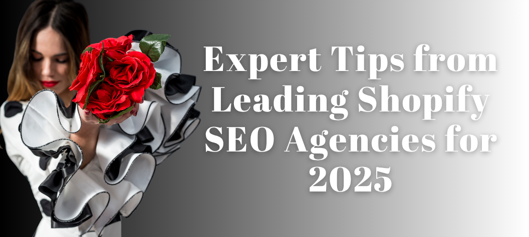 Shopify SEO Agency