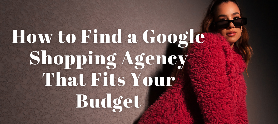 Google Shopping Agency