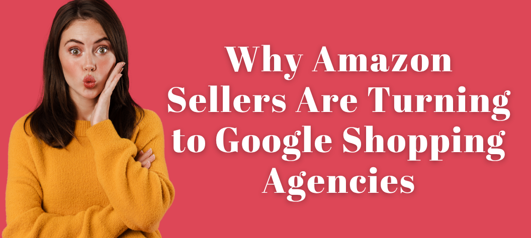 Google Shopping Agency