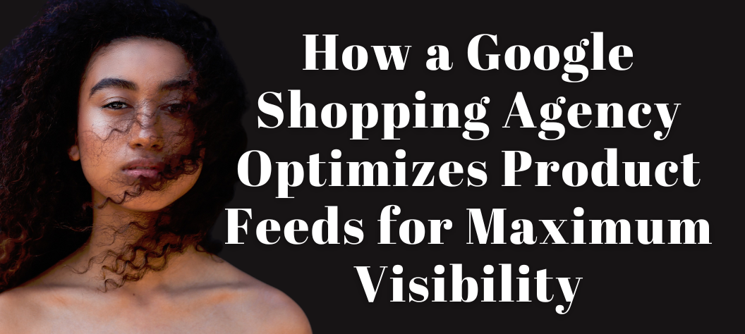 Google Shopping Agency