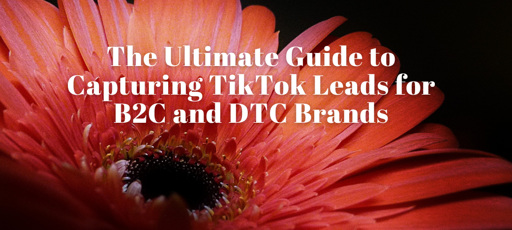 tiktok leads
