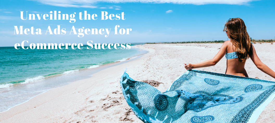 Meta ads agency