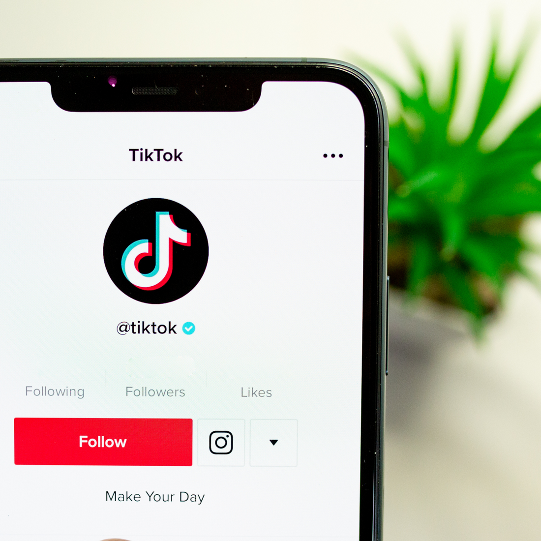 Why Companies and Schools Should Use TikTok to Promote Their Businesses
