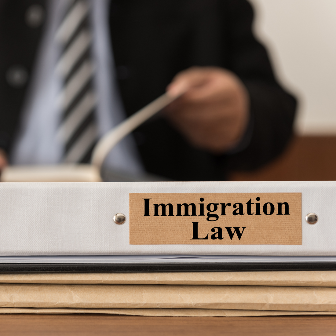 Immigration Lawyers Experts and Consultants Marketing Strategies